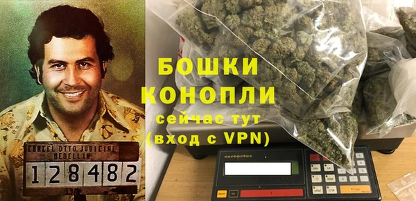 шишки Богданович