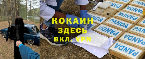 шишки Богданович