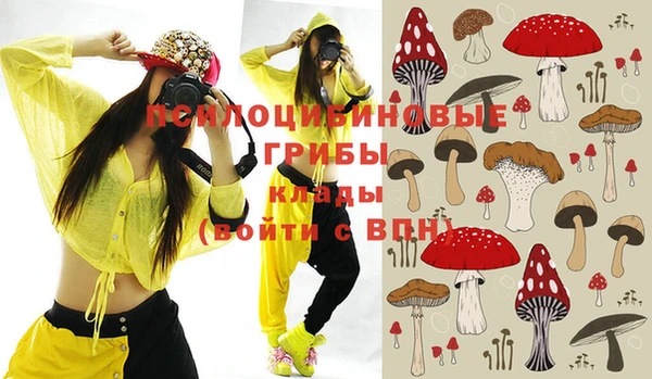 шишки Богданович